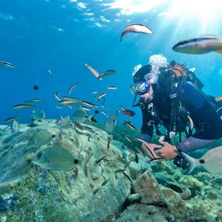 T2 Au Coeur De Porticcio - Vue Imprenable ! * Grosseto-Prugna