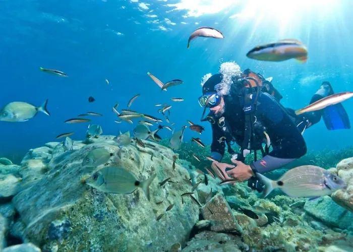 T2 Au Coeur De Porticcio - Vue Imprenable ! * Grosseto-Prugna